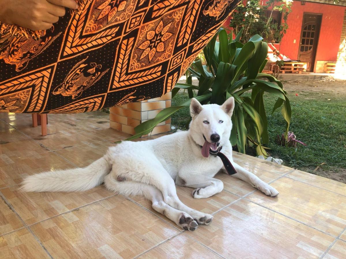 Guest House Lua باراكورو المظهر الخارجي الصورة